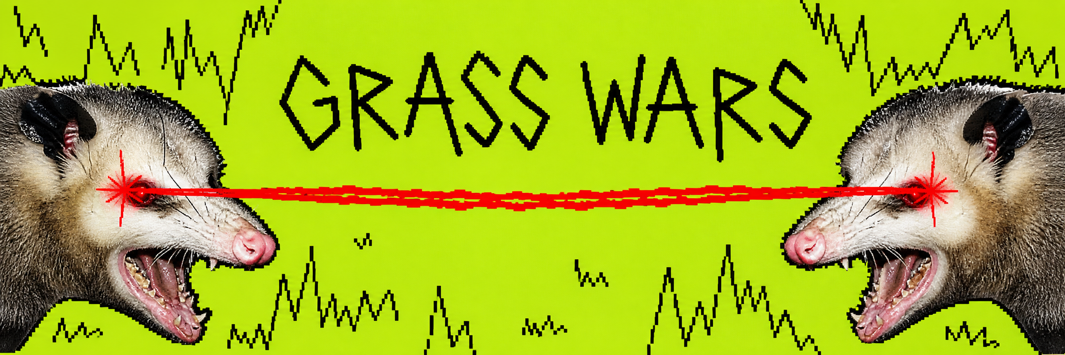 Grass Wars opossums